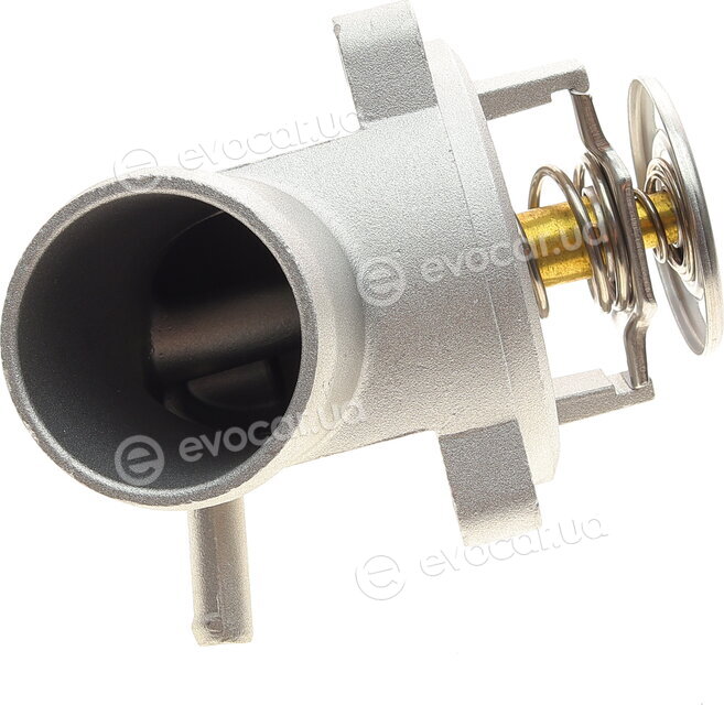 Bogap C4245104
