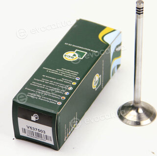 BGA V537503