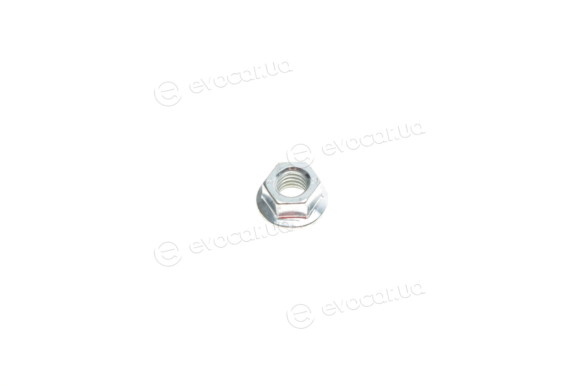 Solgy 203120
