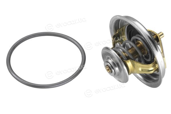 Wahler / BorgWarner 4155.87D