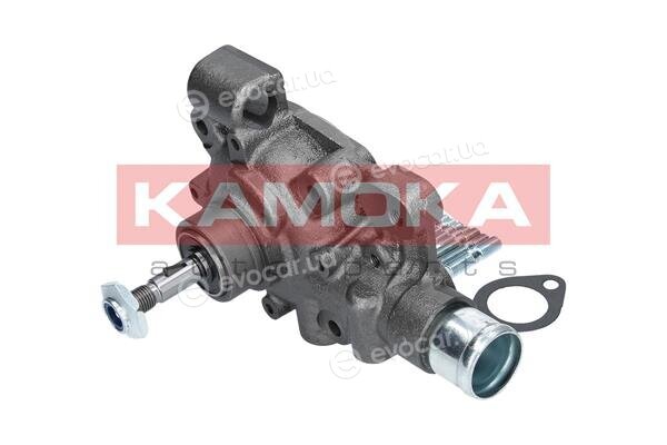 Kamoka T0166