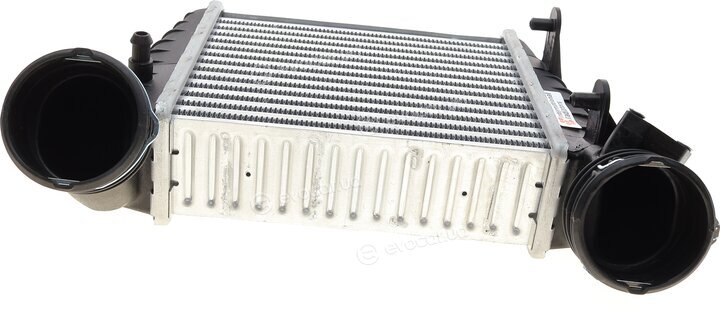 Van Wezel 58004238