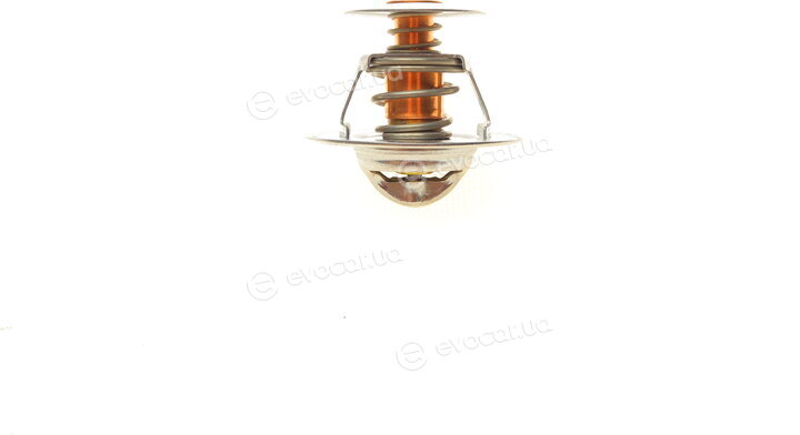 Motorad 591-88K