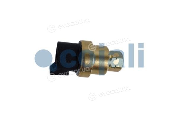 Cojali 2263023