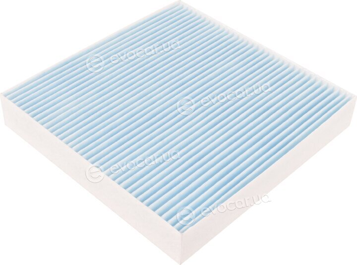 Blue Print ADG02598