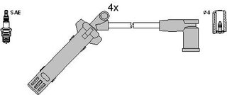 Starline ZK 4596