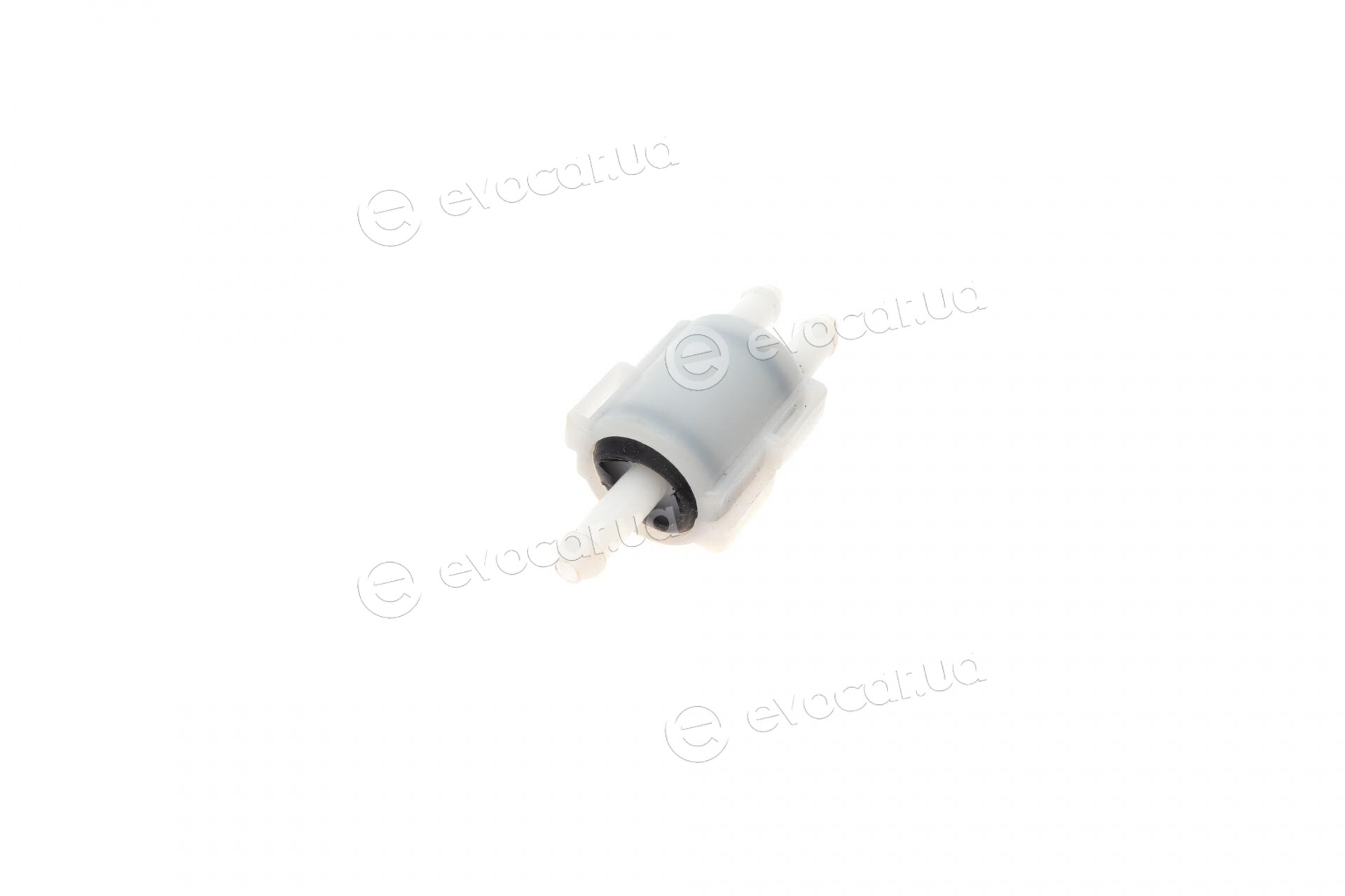 Solgy 307012