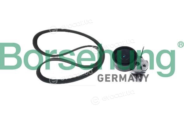 Borsehung B12361