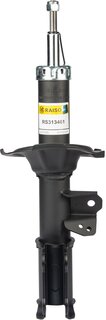 Raiso RS313461