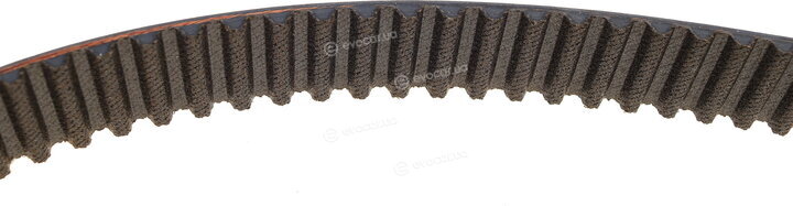 Gates K045491XS