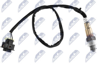 NTY ESL-PL-010