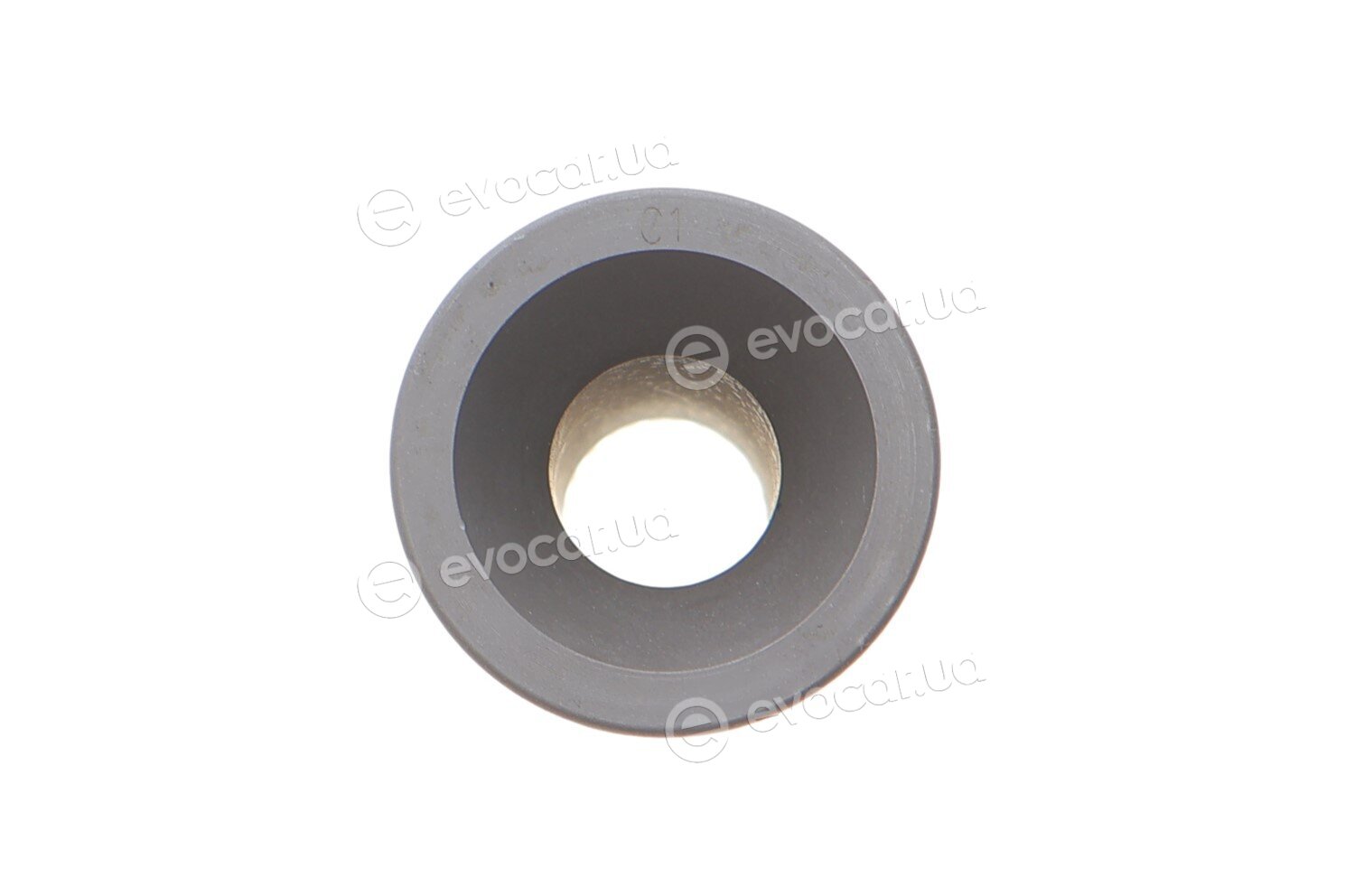 Mahle 001 PI 00107 002