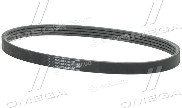 Continental 4PK560