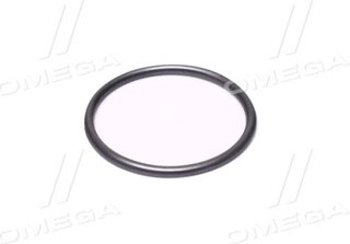 VAG 06B121119B