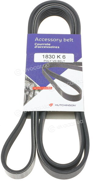 Hutchinson 1830 K 6