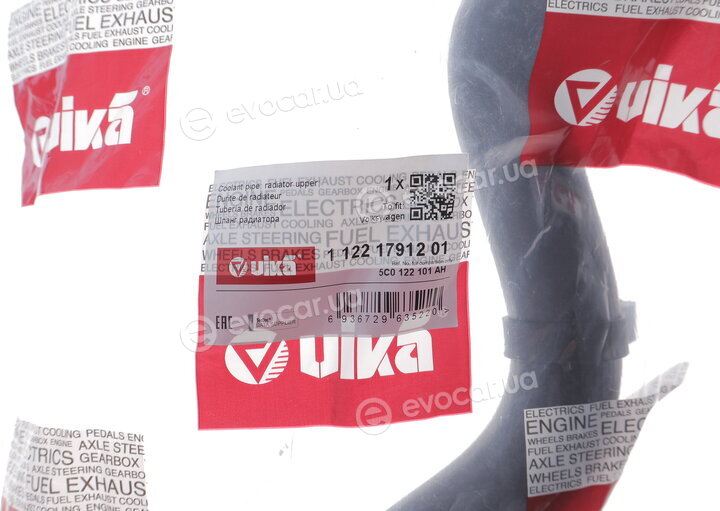 Vika 11221791201