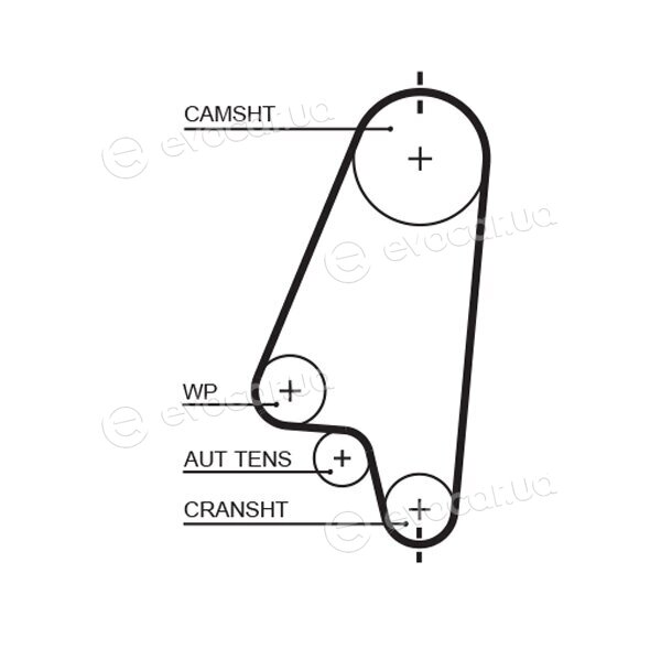 Gates K015310XS