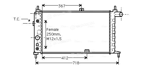 AVA OL2065