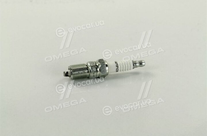 Champion OE067/T10