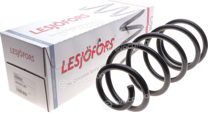 Lesjofors 4027670