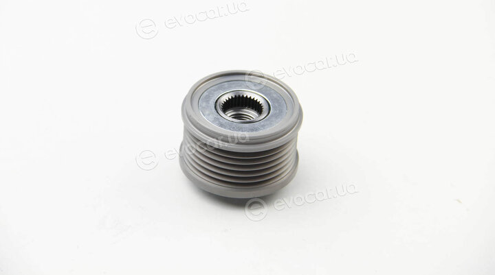 Asam 55219