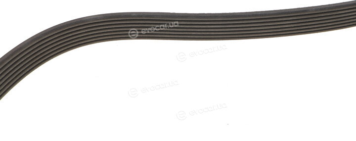 Dayco 7PK1930