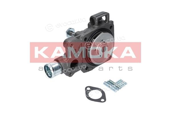 Kamoka T0166