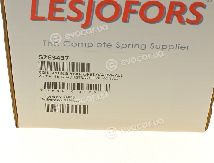 Lesjofors 5263437