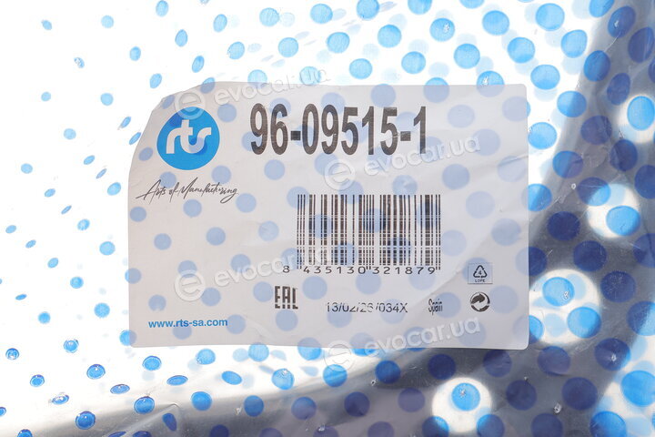 RTS 96-09515-1