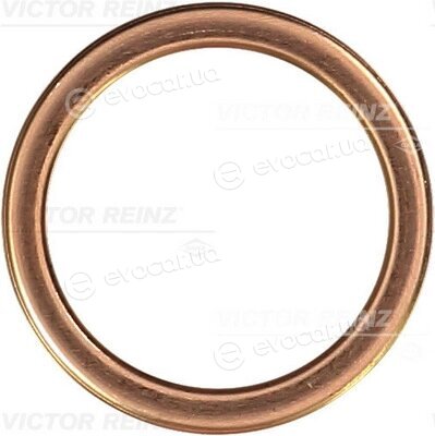 Victor Reinz 41-72066-30