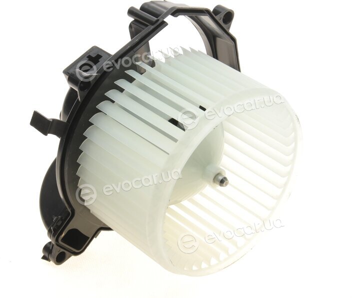 AIC 58206