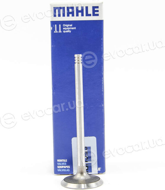 Mahle 021 VE 31060 000