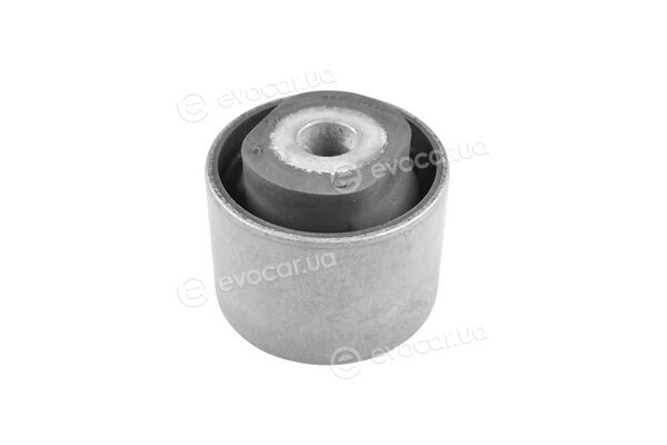 Tedgum TED12389