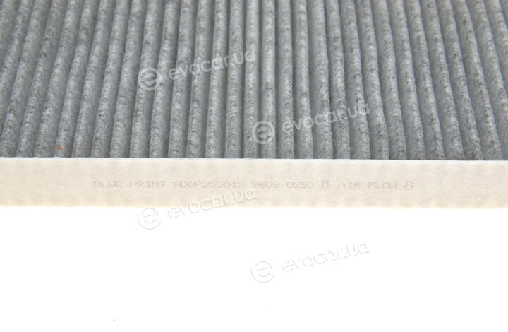 Blue Print ADBP250015