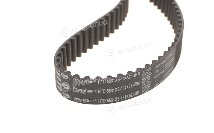 Gates KP35581XS