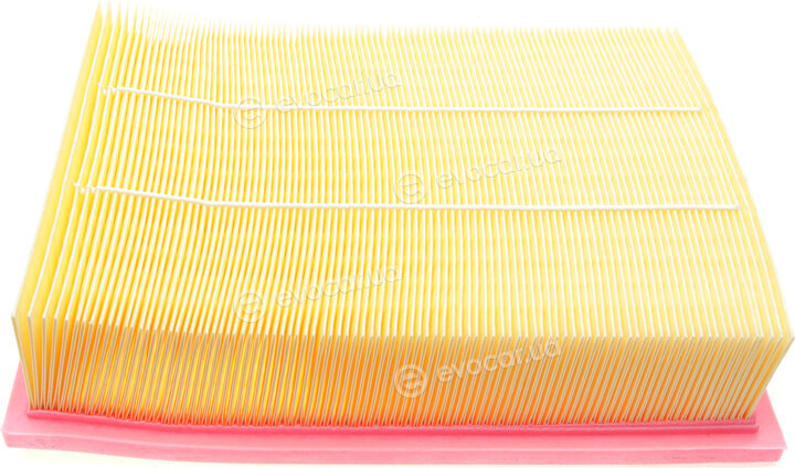 Solgy 103040
