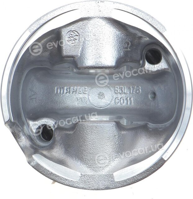 Mahle 001 PI 00177 002