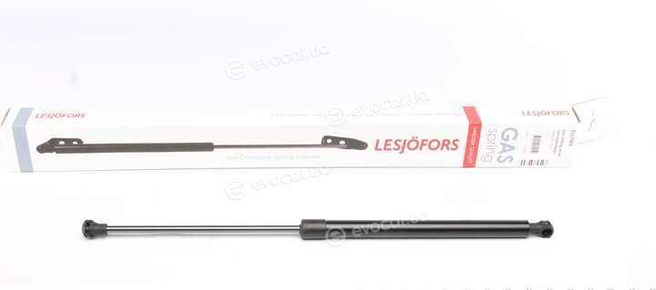 Lesjofors 8117003