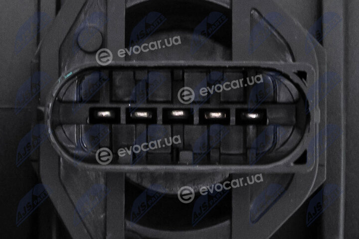 NTY EPP-VW-006