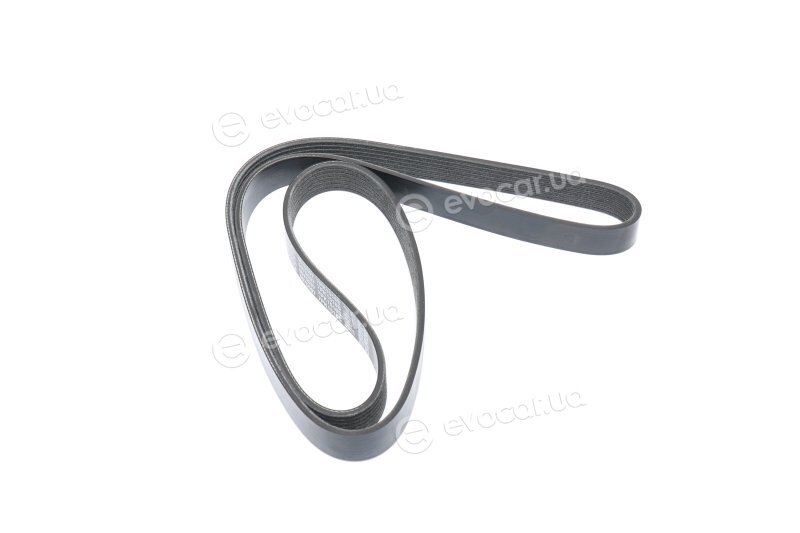 Dayco 7PK1516S