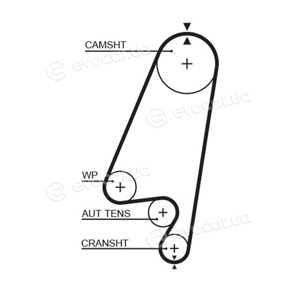 Gates K015367XS