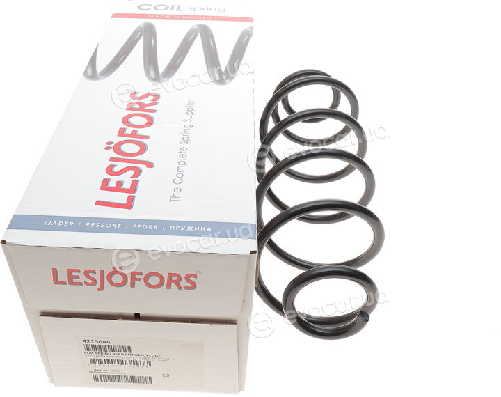 Lesjofors 4215644