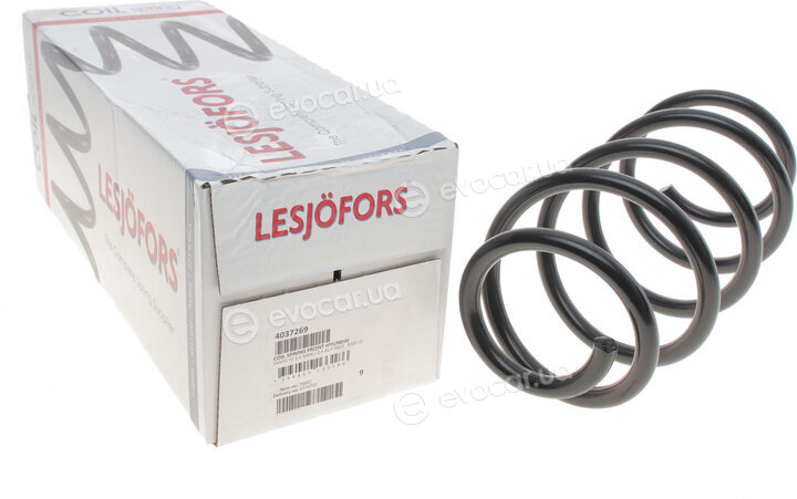 Lesjofors 4037269