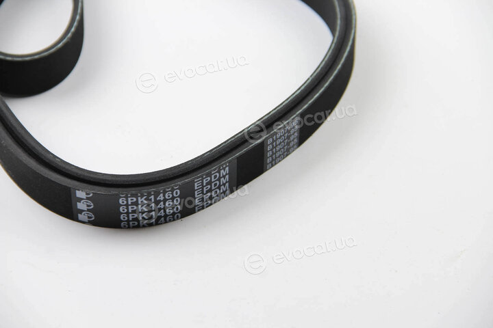 BGA 6PK1460