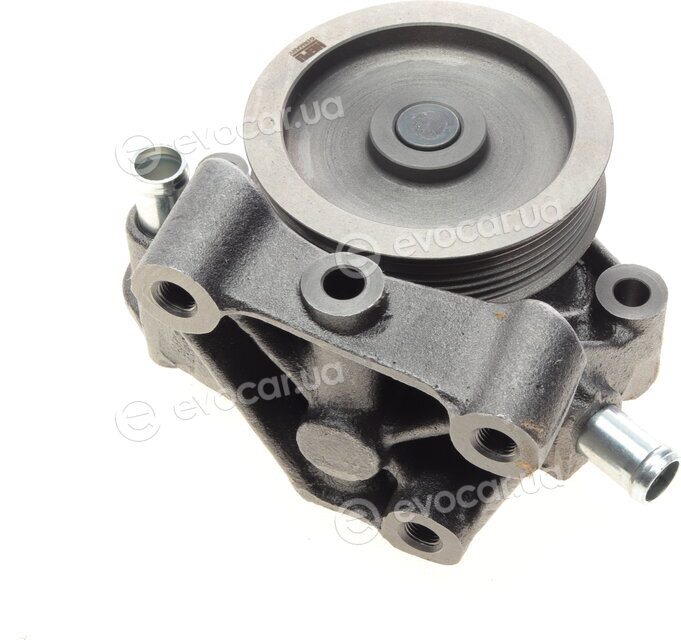 Hepu P1203