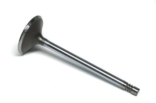 Gunes 4146