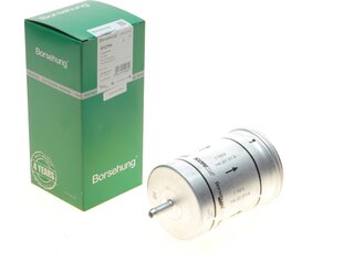 Borsehung B12794