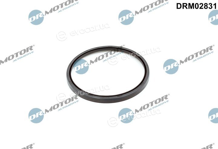 Dr. Motor DRM02831