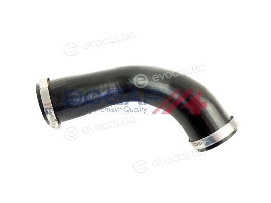 Bogap A1711375