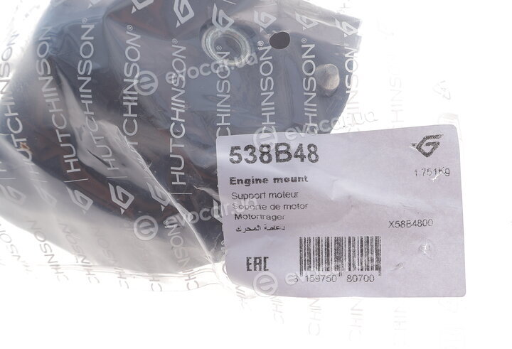 Hutchinson 538B48